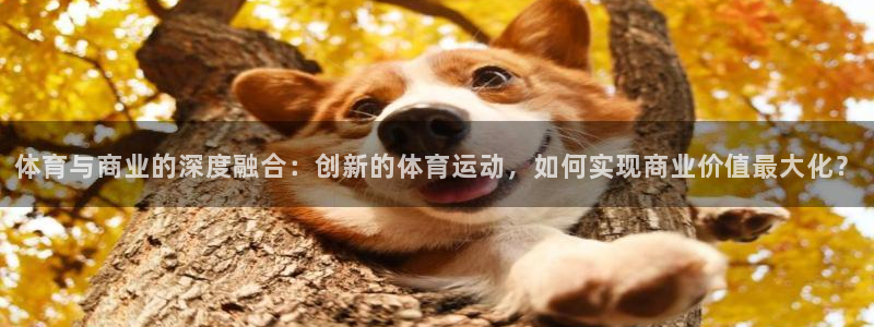 天天体育app官网入口：体育与商业的深度融合：创新的体育运动，如何实现商业价值最大化？