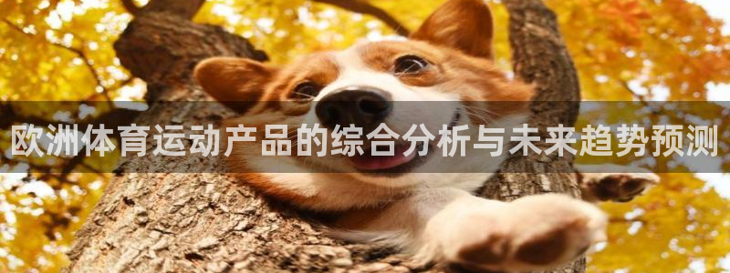 天天体育直播入口官网：欧洲体育运动产品的综合分析与未来趋势预测