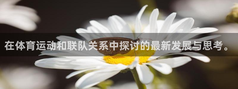 天天体育节目表