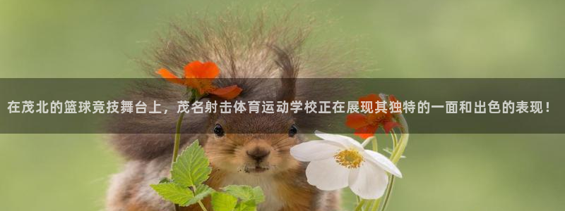 天天体育连线记者韩帅