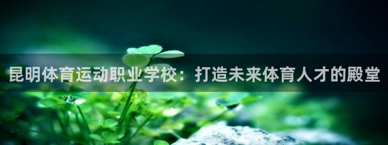 天天体育下载安装：昆明体育运动职业学校：打造未来体育人才的殿堂
