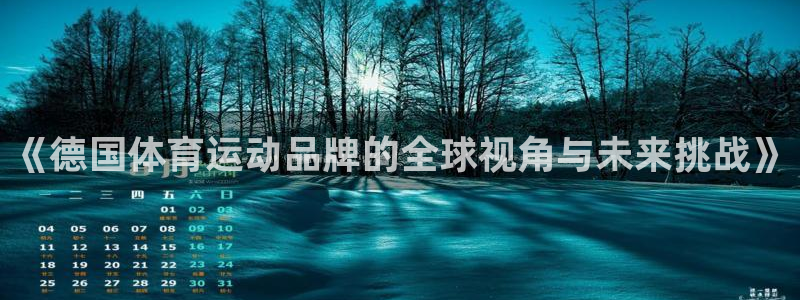 天天体育logo：《德国体育运动品牌的全球视角与未来挑战》